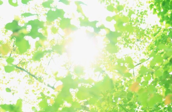 静岡県で宿といえば民宿ふかべ